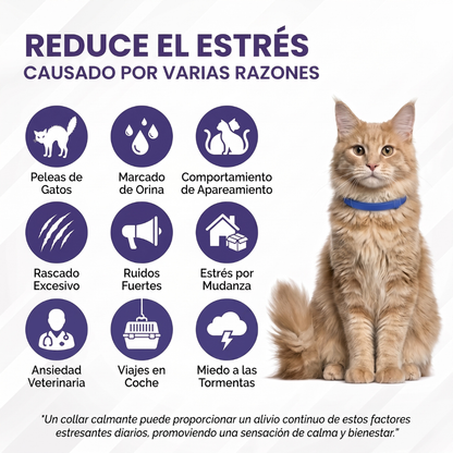 Collar calmante para gatos