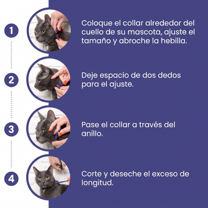 Collar calmante para gatos
