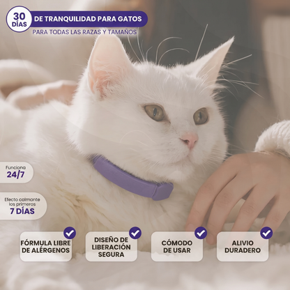 Collar calmante para gatos