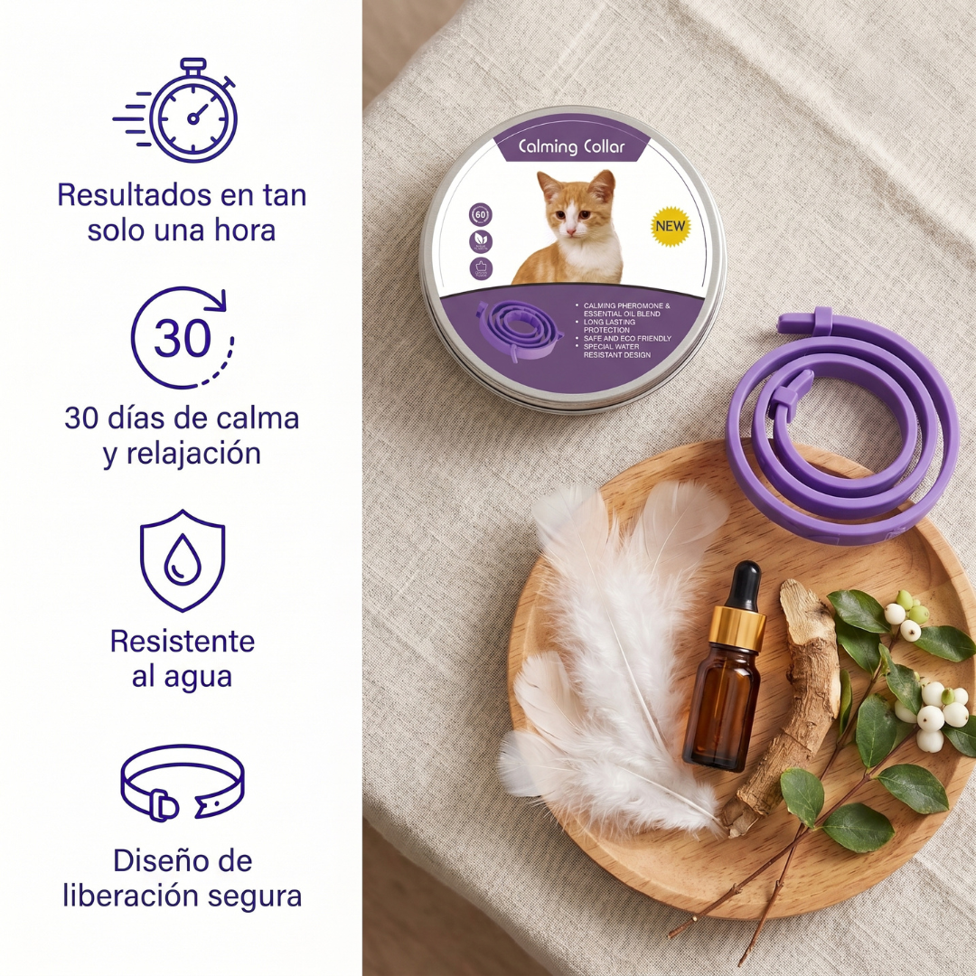 Collar calmante para gatos