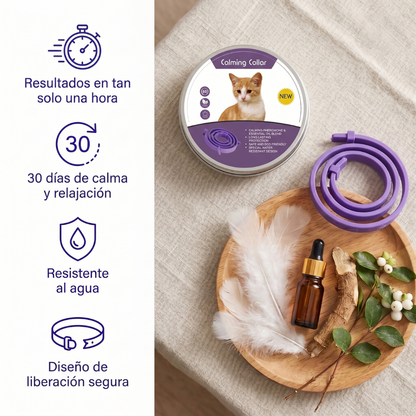 Collar calmante para gatos
