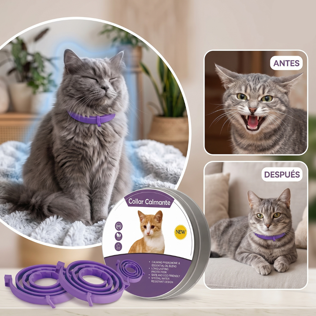 Collar calmante para gatos
