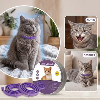 Collar calmante para gatos